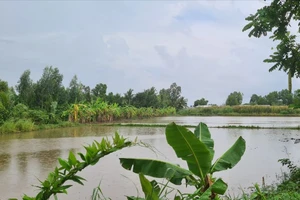  1 người bị sét đánh tử vong khi bơm nước sạ lúa