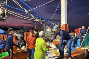 Ngư dân Quảng Bình chung tay gỡ 'thẻ vàng' IUU