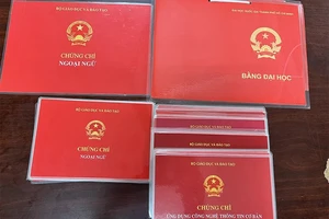 Điều tra vụ sử dụng bằng đại học giả đấu thầu 20 công trình xây dựng