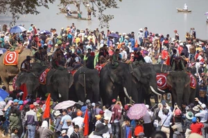 Hàng ngàn khán giả náo nhiệt xem đua voi Đắk Lắk 