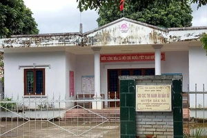 Công an đào gỗ trắc nặng 450kg, thi hành án để mất 