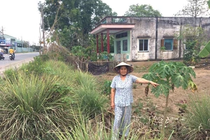 Bí thư tỉnh vào cuộc vụ '15 năm không trả đất cho dân'