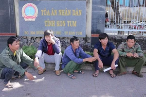 Chánh án tỉnh Kon Tum làm thẩm phán dự khuyết vụ gỗ khô