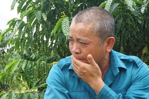 Vụ gỗ khô: Nghẹn ngào trước ngày đi thi hành án tù