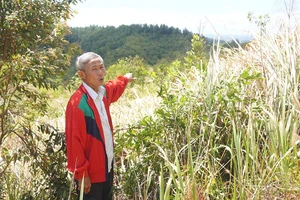 Vụ án có 16 bị can thì 13 bị can không còn nguy hiểm