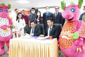 Việt Nam có mì ăn liền làm từ trái cây thanh long