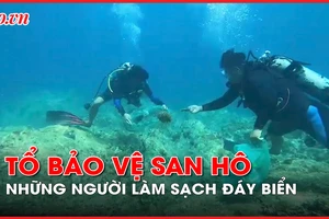 Video: Tổ bảo vệ san hô, những người làm sạch đáy biển ở Quy Nhơn