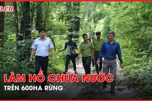 Lãnh đạo Sở NN&PTNT Bình Thuận giải thích về việc làm hồ chứa nước trên 600ha rừng