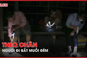 Video: Theo chân người hiến thân mình làm mồi bắt muỗi đêm