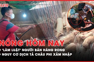 Nóng hôm nay: Điều tra 'làm luật' người bán hàng rong ở chợ Long Thành, Đồng Nai