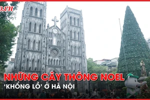 Video: Cận cảnh những cây thông noel 'khổng lồ' ở Hà Nội phục vụ dịp Giáng sinh 2023