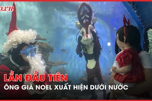 Video: Lần đầu tiên ông già Noel xuất hiện dưới nước tại Viện Hải dương học ở Nha Trang