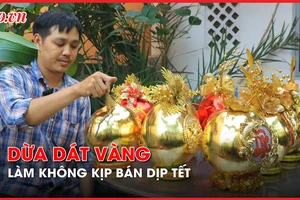 Video: Dừa dát vàng 1 triệu đồng/cặp vẫn làm không kịp bán