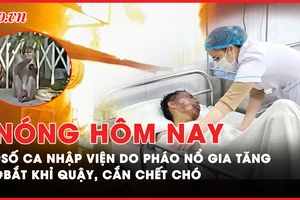 Nóng hôm nay: 'Nóng' tai nạn nghi do pháo nổ giáp Tết; Bắt khỉ 'quậy' cắn chết chó