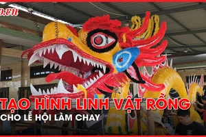 Video: Người dân Long An tất bật chuẩn bị cho 'Tết thứ hai'