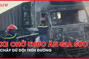 Video: Xe chở thức ăn gia súc cháy dữ dội khi đang di chuyển