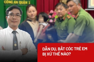 Từ vụ 2 bé gái mất tích ở phố đi bộ: Hành vi dẫn dụ, bắt cóc trẻ em bị xử lý thế nào? 