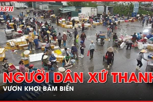 Ngư dân xứ Thanh vươn khơi bám biển, làm giàu từ biển