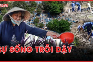 Video: HỒI SINH MẢNH ĐẤT 'CHẾT' – KỲ 2: SỰ SỐNG TRỖI DẬY 