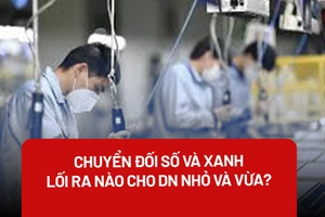 Chuyển đổi số đồng thời chuyển đổi xanh: Lối ra nào cho DN nhỏ và vừa?