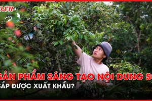 Cơ hội xuất khẩu văn hóa mạng xã hội, hot Tiktoker, Facebooker, Youtuber nghĩ gì?