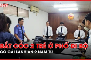 Cô gái bắt cóc hai trẻ ở phố đi bộ Nguyễn Huệ lãnh án
