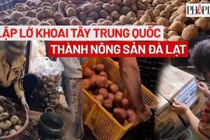 Trailer ĐIỀU TRA: 'Hô biến' khoai tây Trung Quốc thành nông sản Đà Lạt
