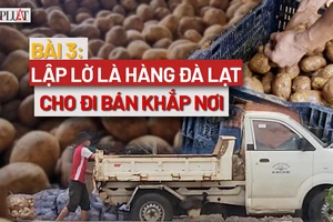 VIDEO ĐIỀU TRA- Bài 3: Khoai nhuộm đất đỏ Đà Lạt chở đi bán khắp nơi