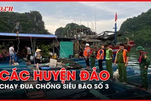 Các huyện đảo ở Quảng Ninh, Hải Phòng chạy đua chống siêu bão số 3