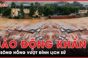 Cấp bách: Lũ sông Hồng vượt mốc lịch sử 1968 gần 1m và chưa có dấu hiệu dừng lại