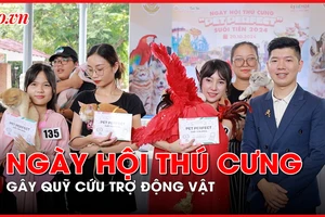Bất ngờ với ngày hội thú cưng thi sắc đẹp, thời trang 
