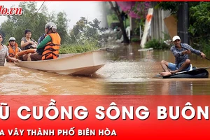 Lũ sông Buông dâng cao chưa từng có, người dân Biên Hòa bất ngờ bị 'đánh úp'