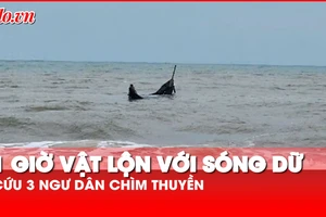 Quảng Trị: 30 bộ đội Biên phòng vật lộn với sóng dữ cứu 3 ngư dân bị chìm thuyền 