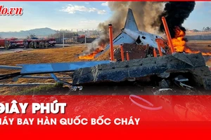 Video: Giây phút máy bay Hàn Quốc bốc cháy khi hạ cánh