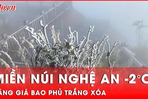 Nhiệt độ - 2°C, băng giá và sương muối bao phủ trắng xóa Mường Lống, Nghệ An
