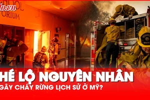 Video: Hé lộ nguyên nhân ban đầu dẫn đến cháy rừng lịch sử tại Mỹ?