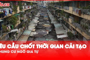 Chủ tịch UBND TP.HCM yêu cầu chốt thời gian cải tạo chung cư Ngô Gia Tự