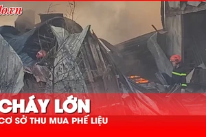 Video: Cháy cơ sở thu mua phế liệu ở Bình Dương