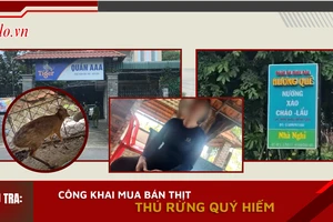 Video điều tra: Các quán ăn 'bình dân' ở Đồng Nai rao bán 'thịt rừng rặc' thế nào?