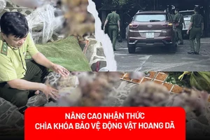Bảo vệ động vật hoang dã: Những giải pháp từ tiếng kêu cứu giữa rừng xanh