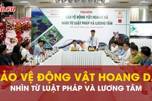 Để không còn những tiếng kêu ai oán giữa rừng xanh