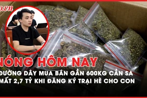 Nóng hôm nay: Khởi tố 26 bị can trong đường dây mua bán gần 600kg cần sa