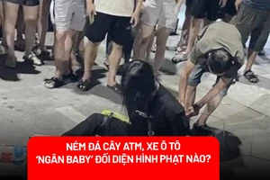 Ném đá cây ATM, xe ô tô vì bực tức, ‘Ngân Baby’ có thể bị xử lý như thế nào?