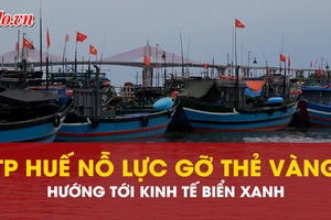 TP Huế nỗ lực gỡ thẻ vàng IUU, hướng tới kinh tế biển xanh
