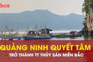 Quảng Ninh tăng tốc để trở thành trung tâm nuôi trồng thủy sản miền Bắc