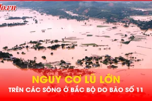 Video: Cảnh báo nguy cơ lũ lớn trên các sông ở Bắc Bộ do bão số 11