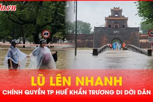 TP Huế: Lũ lên nhanh, chính quyền khẩn trương di dời dân