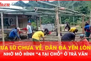 Điểm sáng mô hình '4 tại chỗ' ở vùng cao Trà Vân