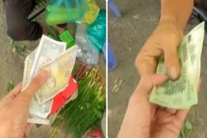 Sinh viên nghèo mua rau, bất ngờ được Minh Râu cho mượn tiền