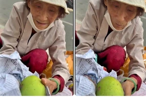 Lý do cụ bà chỉ mang 15 quả xoài từ Bến Tre lên TP.HCM bán